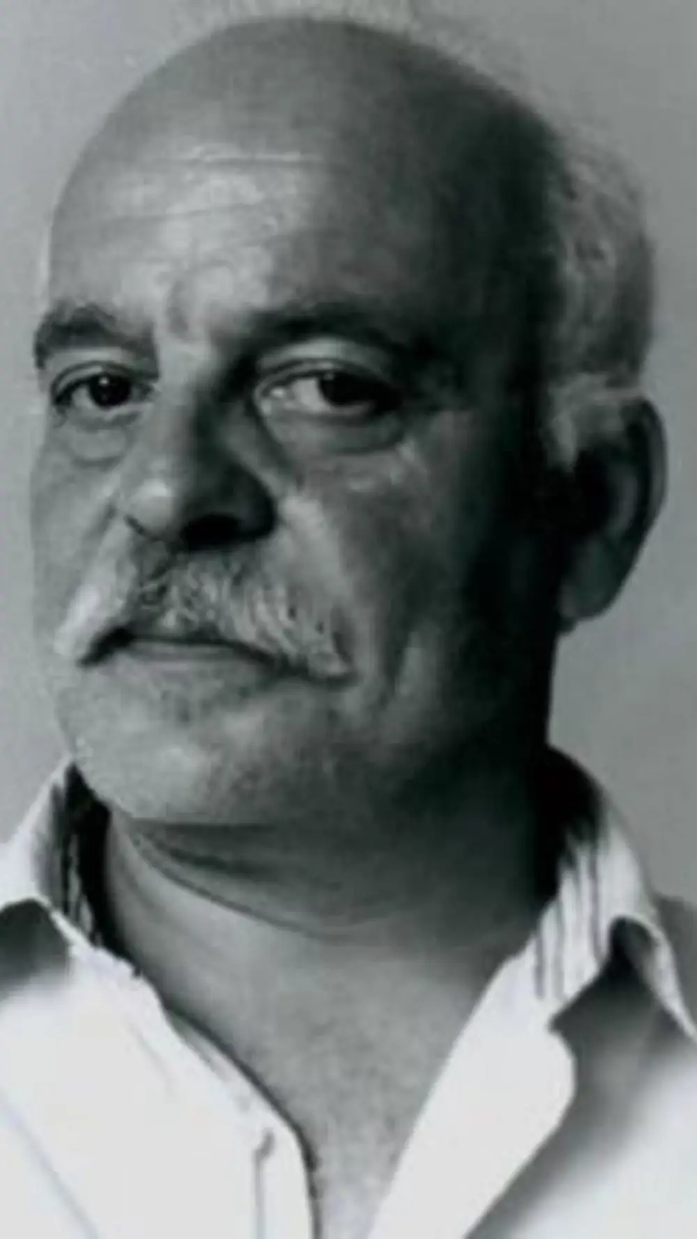 Levend Yılmaz